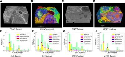 Segmentation of cellular ultrastructures on sparsely labeled 3D electron microscopy images using deep learning